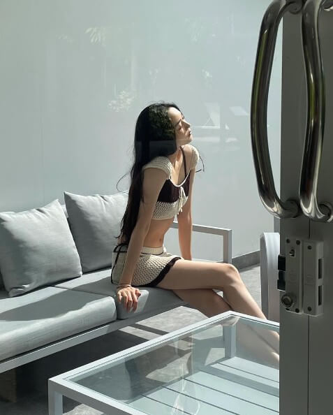 진채희