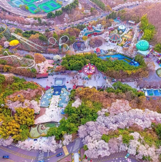 대구 벚꽃축제일정