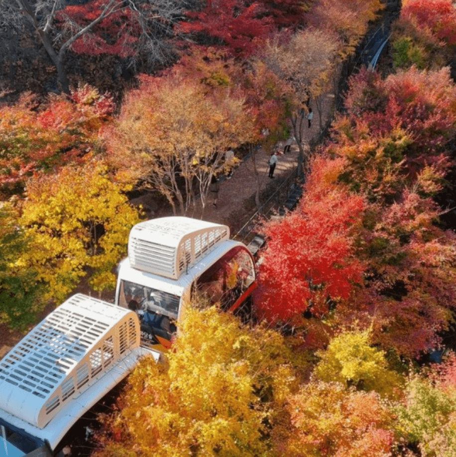 화담숲 가을전경
